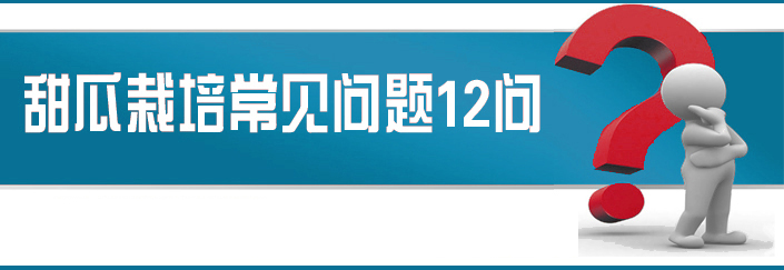 <b><font color='#006428'>甜瓜栽培常見問題12問</font></b>