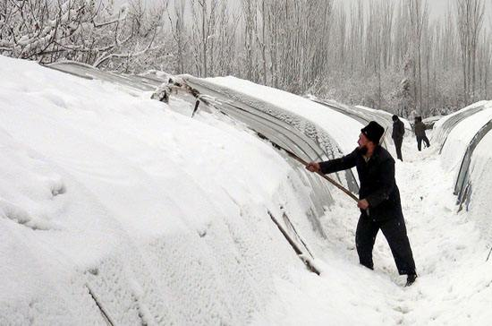 大雪壓垮大棚圖